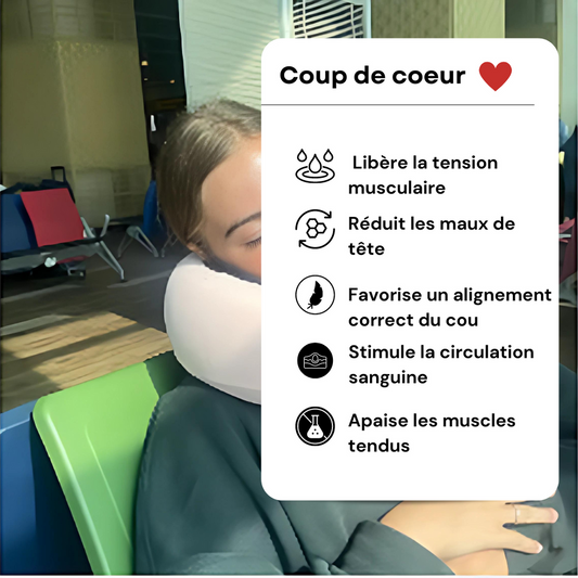 LISSANDFIT™ - Travel Pillow
